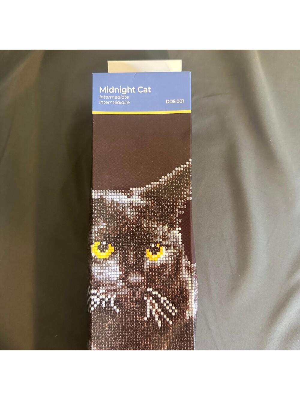 Midnight Cat Diamond Dotz Diamond Art Piece Black Cat